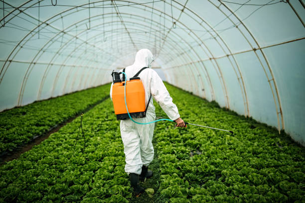 Best Mosquito Control Services  in Boling, TX
