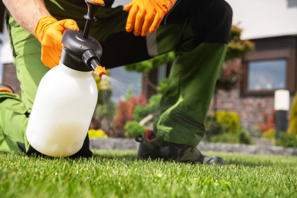 Professional Pest Control in Boling, TX