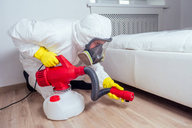 Best Pest Prevention Services  in Boling, TX